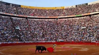 Suspenden corridas en la Plaza de Toros México por Ley contra maltrato animal