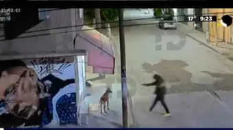 VIDEO. Elemento de la Fiscalía de EDOMEX mata a balazos  al perro  “Pastor”, 