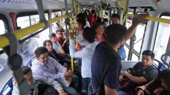 Videovigilancia y operativos contra robos de celulares y carteristas en el RUTA