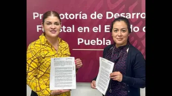 Se unen Zacatlán y Conafor para combatir plagas forestales