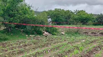 Hallan restos óseos en fosa clandestina de Palmar de Bravo, Puebla