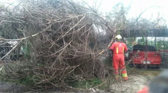 Coordinación interinstitucional y monitoreo puntual del Gobierno de la Ciudad refuerzan la prevención ante lluvias