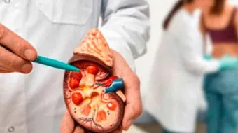 Hábitos clave para prevenir la enfermedad renal crónica desde la infancia