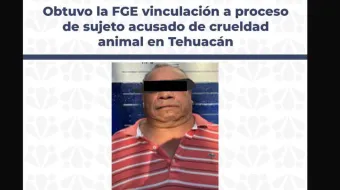 Vinculan a proceso a hombre por muerte de “Capitán”, un canino víctima de crueldad en Tehuacán