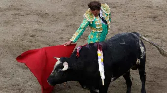 En septiembre retomarán ecologistas prohibición de peleas de gallos y corridas de toros 