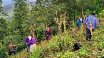 Con poda y nuevos trazos mejorará producción del limón y café en Huauchinango