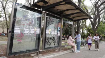 No hay “elegido” para entregarle la concesión de paraderos: Chedraui