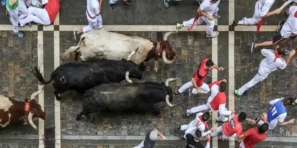 VIDEO. Fallec3 hombre tras corneada de toro en Valencia