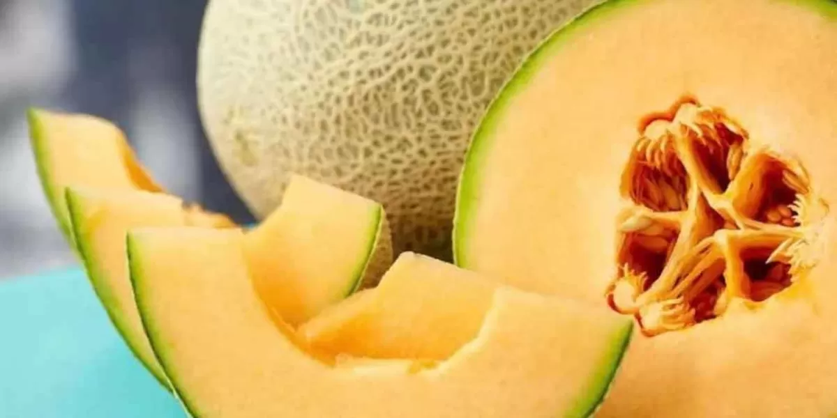 Al menos 8 muertos en EU y Canadá por consumo de melones contaminados de salmonela 