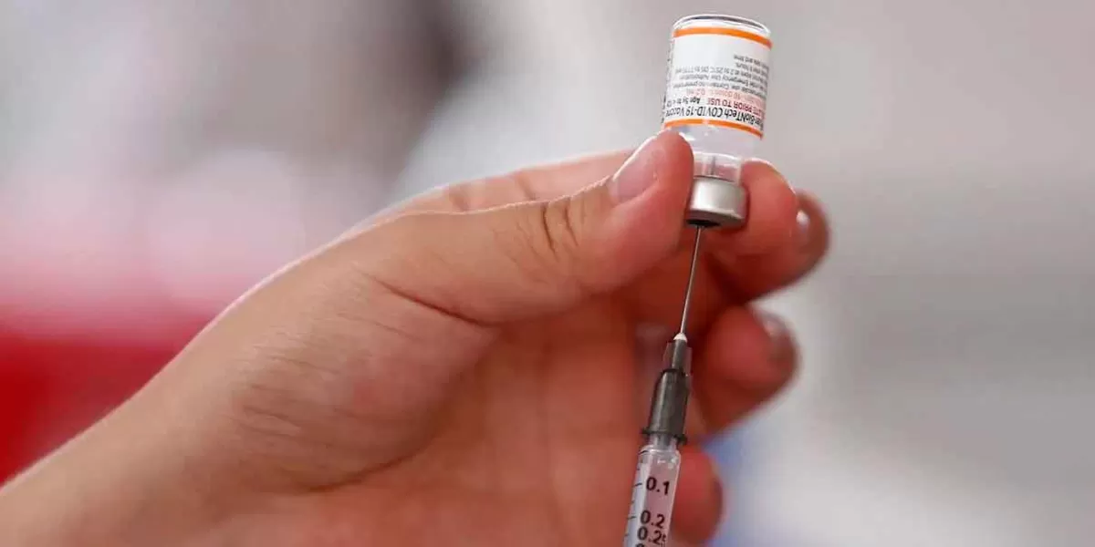 Farmacias venderán vacunas Covid-19 en México, ¿cuáles las distribuirán Pfizer y Moderna?