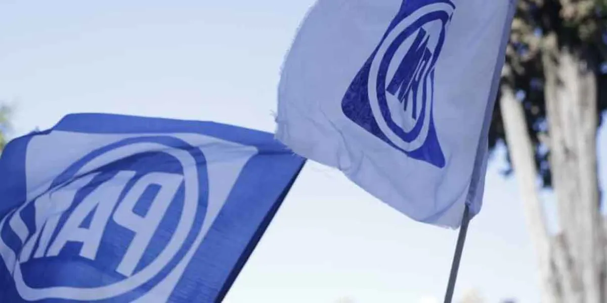 AN tendrá que pagar 7.4 mdp por no justificar gastos de campañas