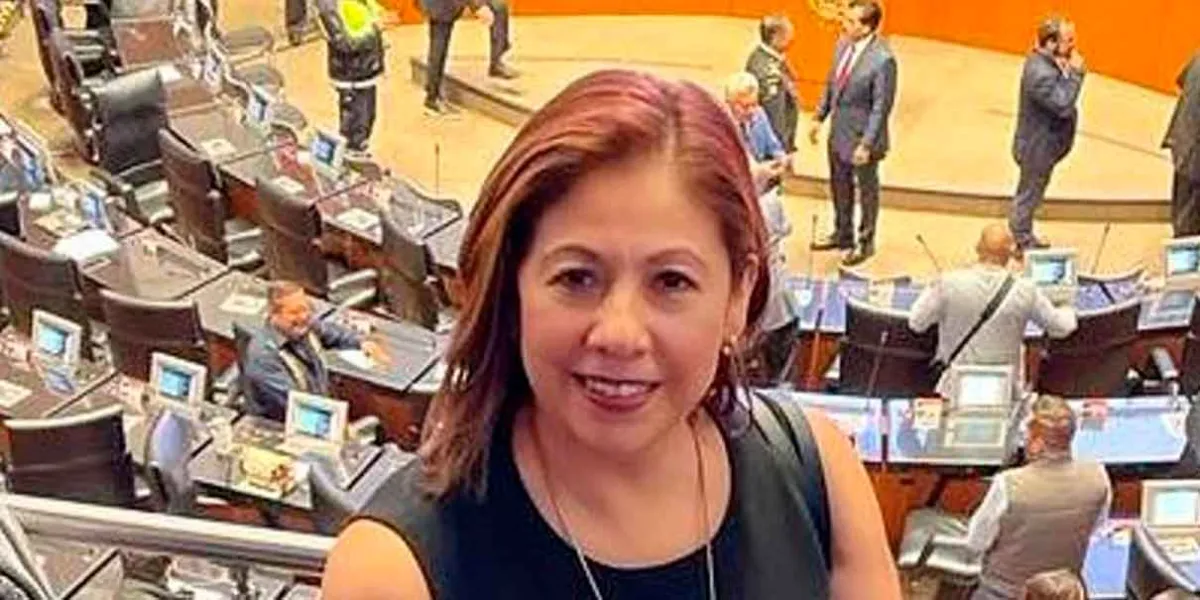 Laura Artemisa cuenta con el apoyo de Pavel Gaspar para coordinación de Morena