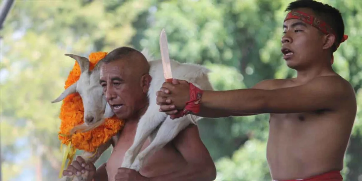 Tehuacán se prepara para la temporada del mole de caderas con estas actividades