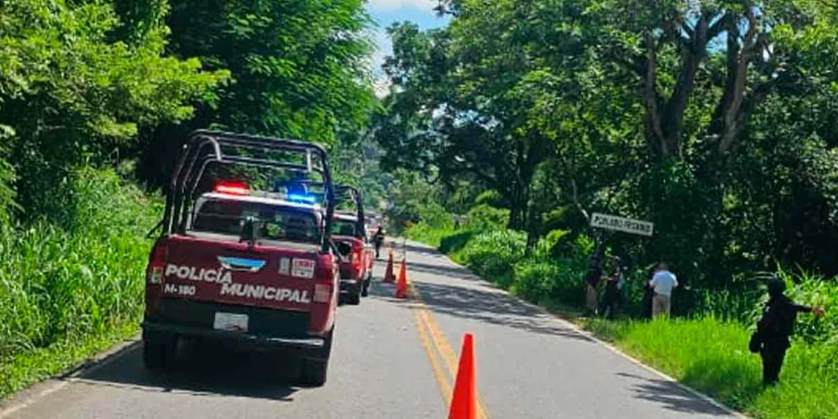 El cuerpo hallado ejecutado en Jalpan era de un diputado electo por Veracruz