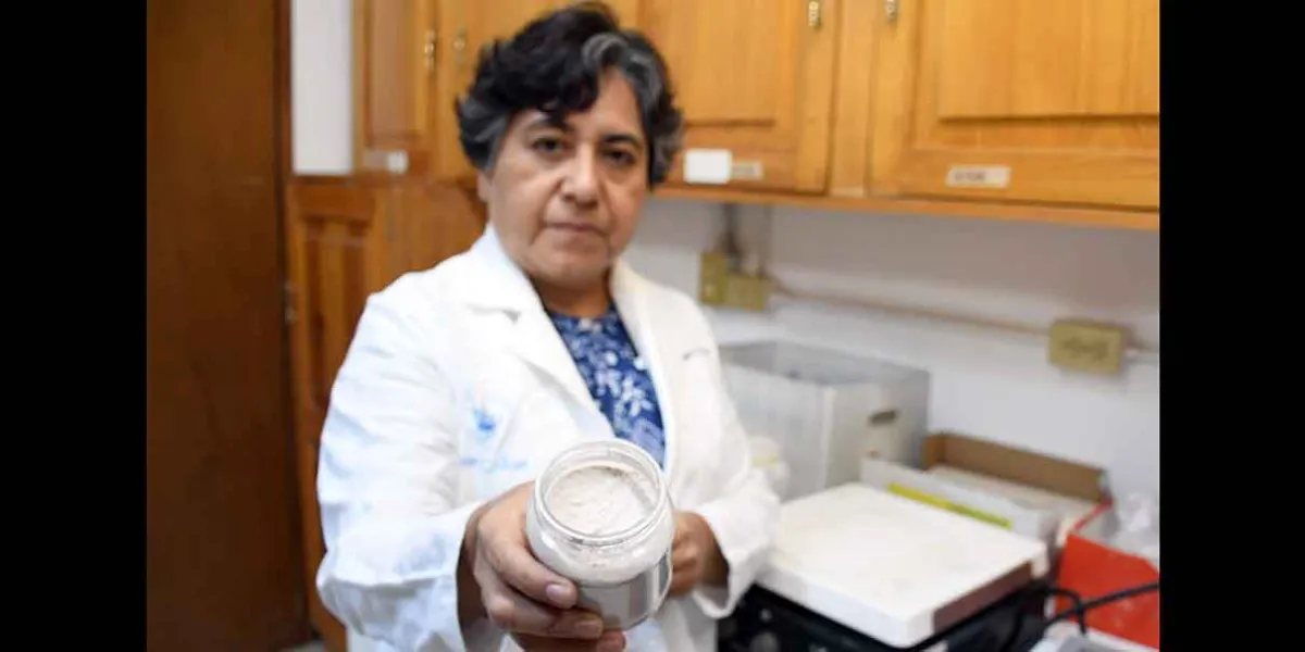 Académica BUAP propone usar arcillas para adsorber micotoxinas: hongo que afecta al maíz