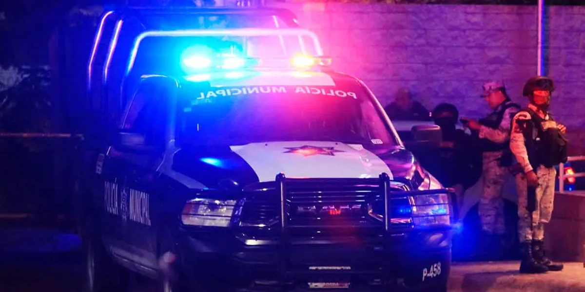 Violencia criminal
