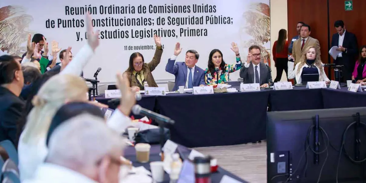 Comisiones del Senado analizan reforma de seguridad