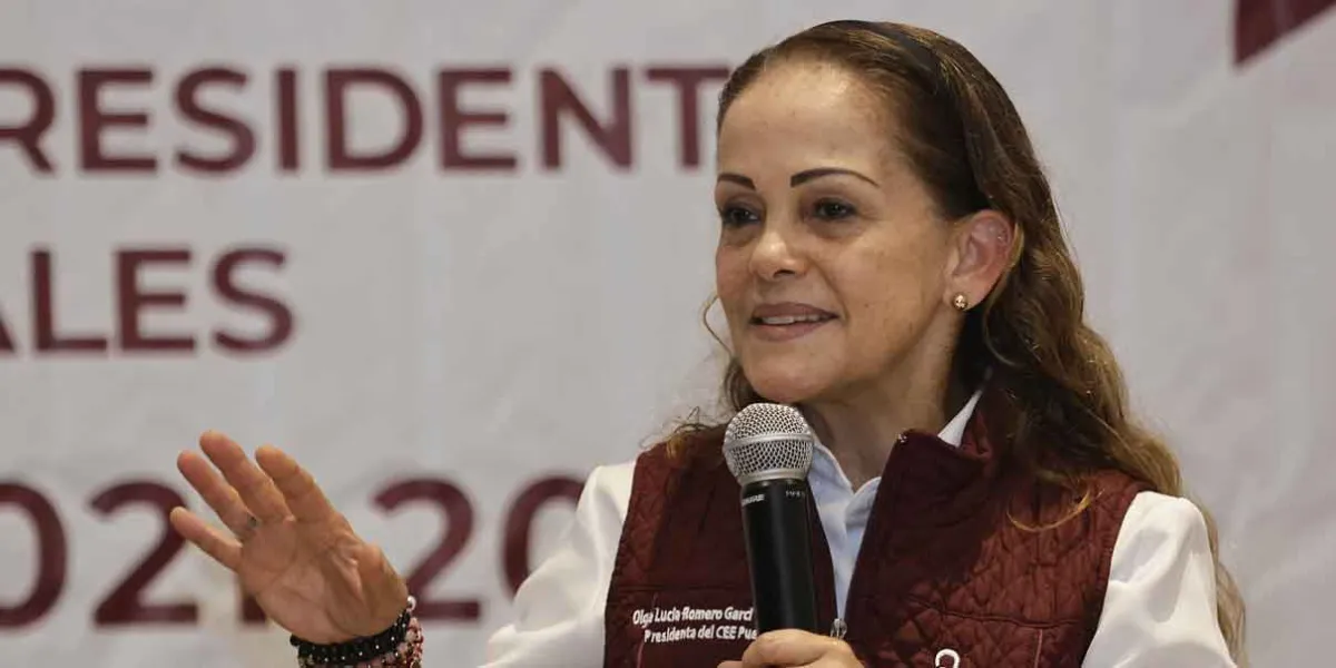 En las próximas elecciones habrá nuevos perfiles como candidatos: Morena