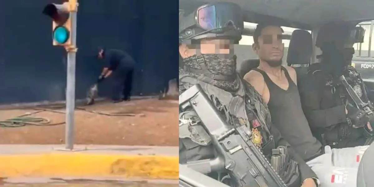 IMAGENES SENSIBLES. Detienen a sujeto que mato a un Tlacuache. Acto que desató la furia en redes sociales