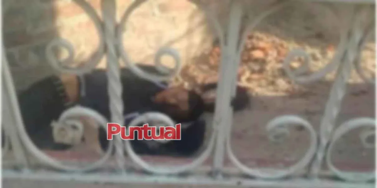 Intenta entrar a iglesia y MUERE tras herirse con herrería en Moyotzingo