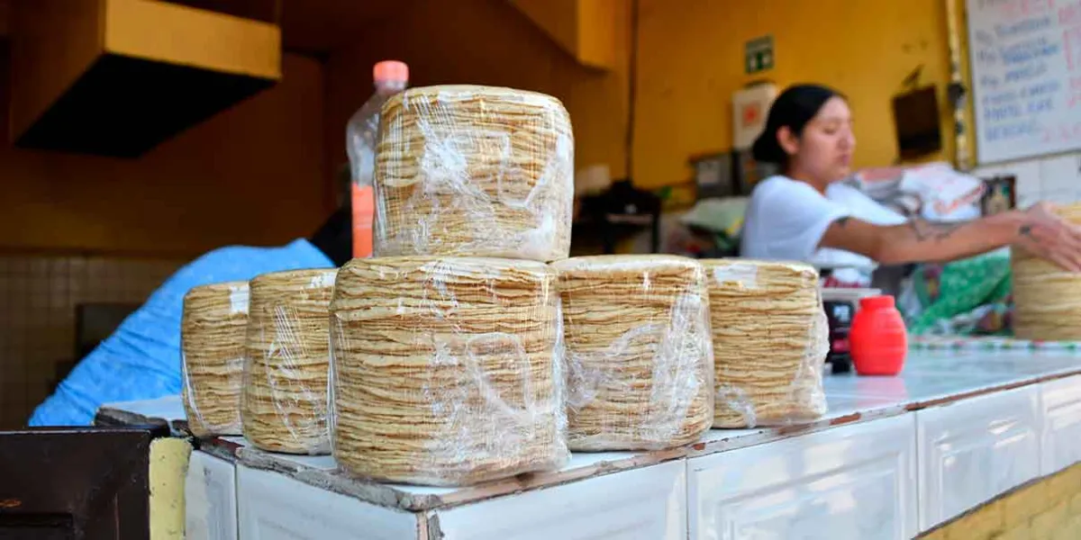 Puebla tiene la tortilla más barata de la región centro, según Profeco