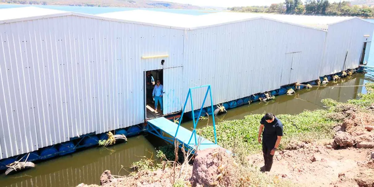 Armenta impulsa saneamiento de Valsequillo con apoyo federal y Fertipue
