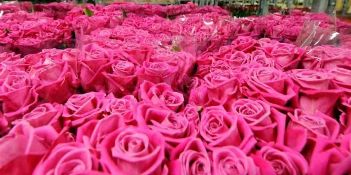 Chiautzingo celebra el primer Festival Regional de las Flores el 27 de abril
