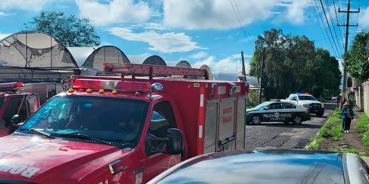 Tormenta en Atlixco deja varios árboles caídos 