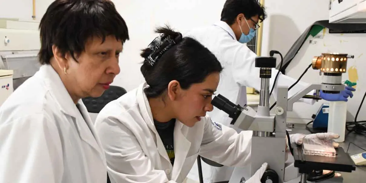 Por su relevancia científica, cuenta con tres solicitudes de patente
