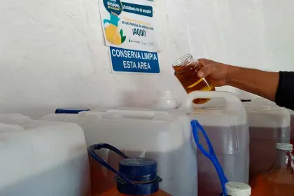Reciclan 1,500 litros de aceite usado para proteger drenaje en Puebla
