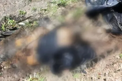 Investigan como feminicidio restos humanos de una mujer hallados en campos de Izúcar