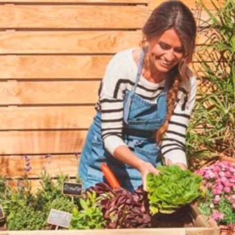 El impacto positivo de las flores: bienestar y sostenibilidad agrícola