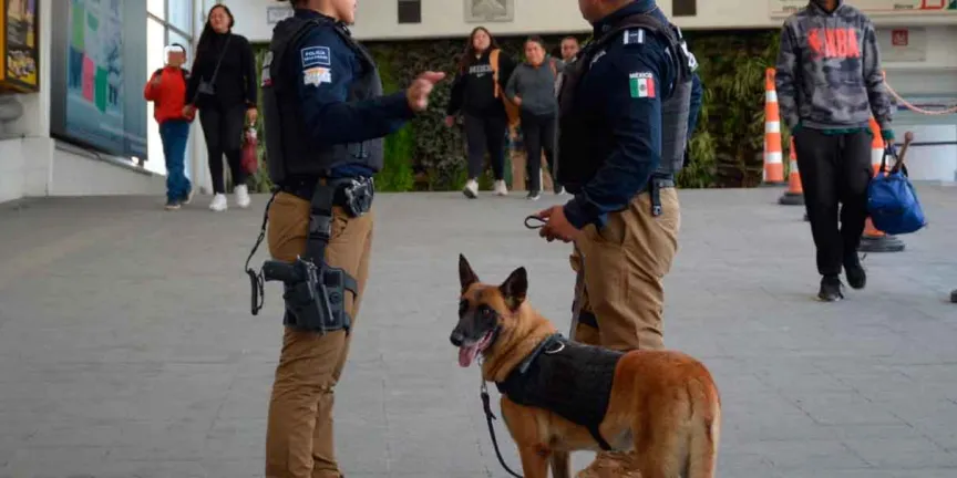 Destaca Gobierno de Pepe Chedraui intervenciones exitosas de la Unidad Canina de la SSC