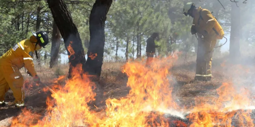 Quema agrícola desata incendios en cerros de Chalchicomula