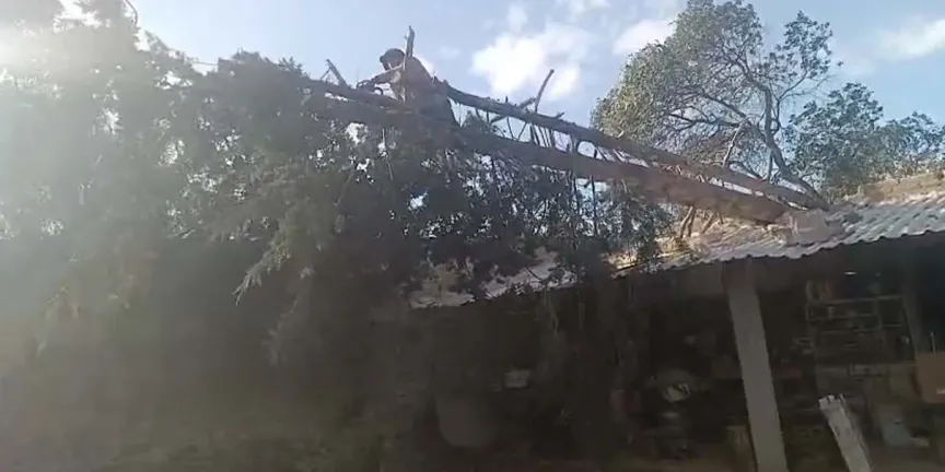 Fuertes vientos provocan caída de árboles e incendio de pastizal en Serdán