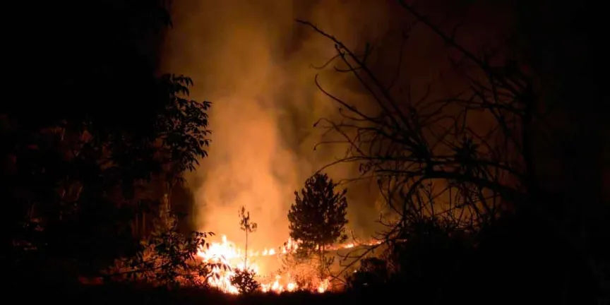 Liquidan incendio en el Cerro Zapotecas en San Pedro Cholula