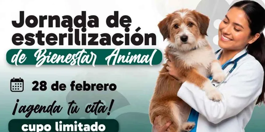  Este sábado Jornada de Esterilización de mascotas en Huauchinango