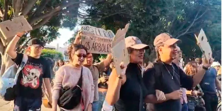 Protestan contra tala de árboles por estación del Cablebús en Puebla