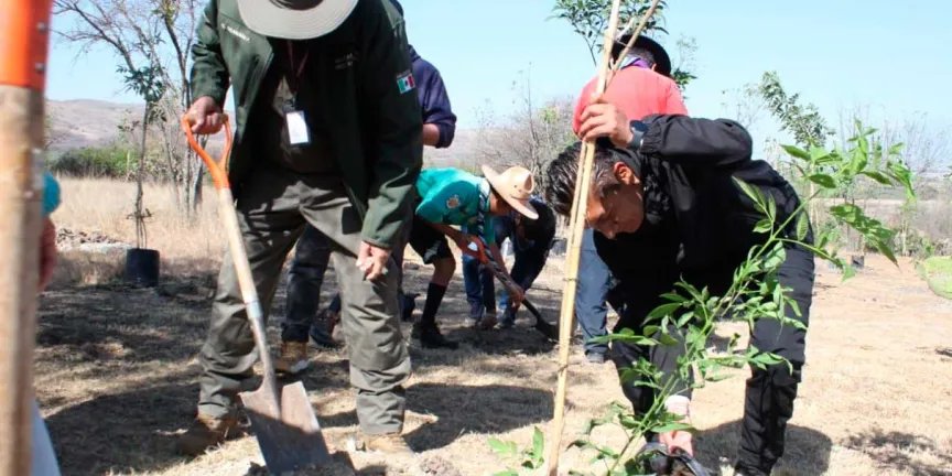 Gobierno de Puebla, fundaciones y población reforestan Parque Bicentenario