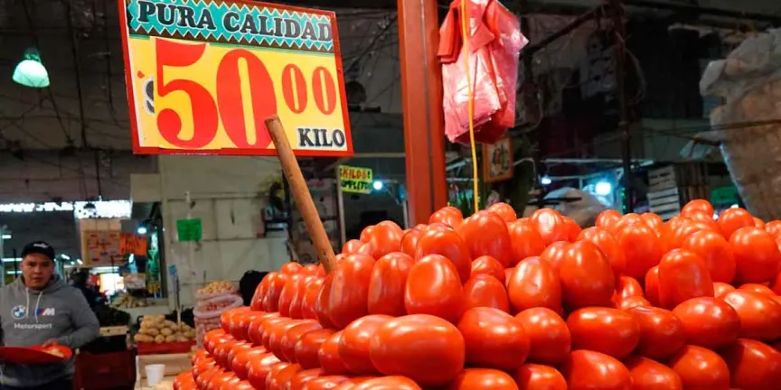 Precio del jitomate supera los 50 pesos en México: aranceles de Trump impactan el mercado