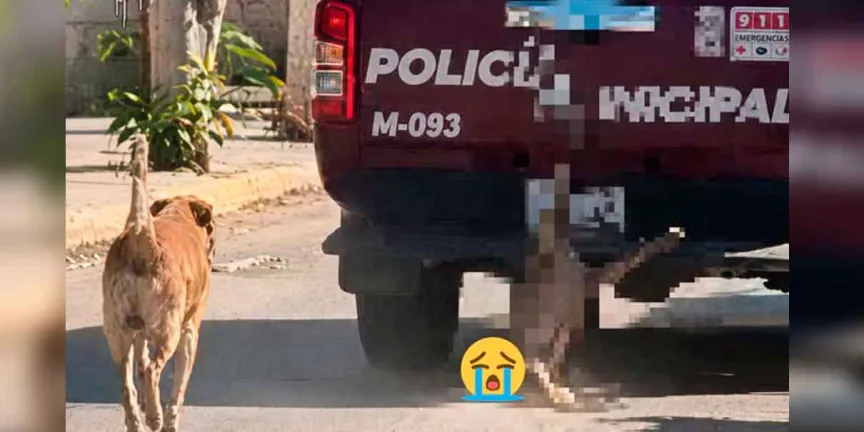 VIDEO. Indignación en Puebla por patrulla que arrastró a un perro en Xochiltepec; autoridades aseguran que era un cadáver