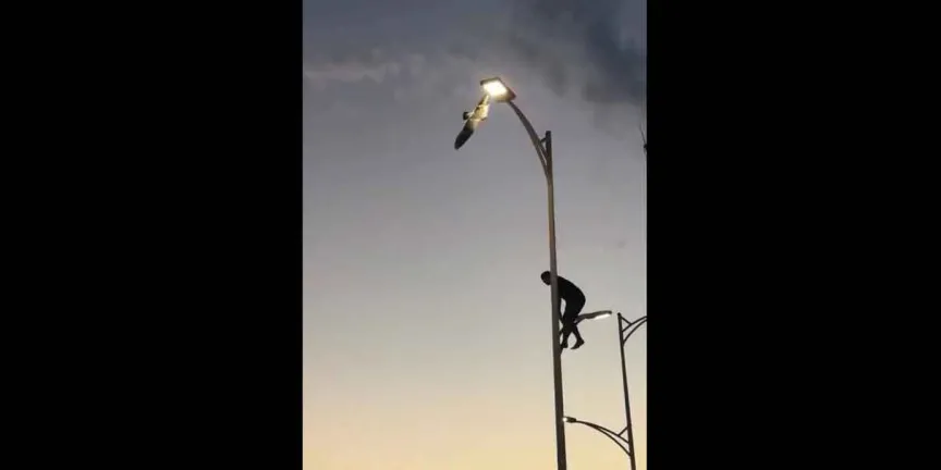 VIDEO. Rescate de gaviota en La Paz sorprende a testigos y usuarios en internet