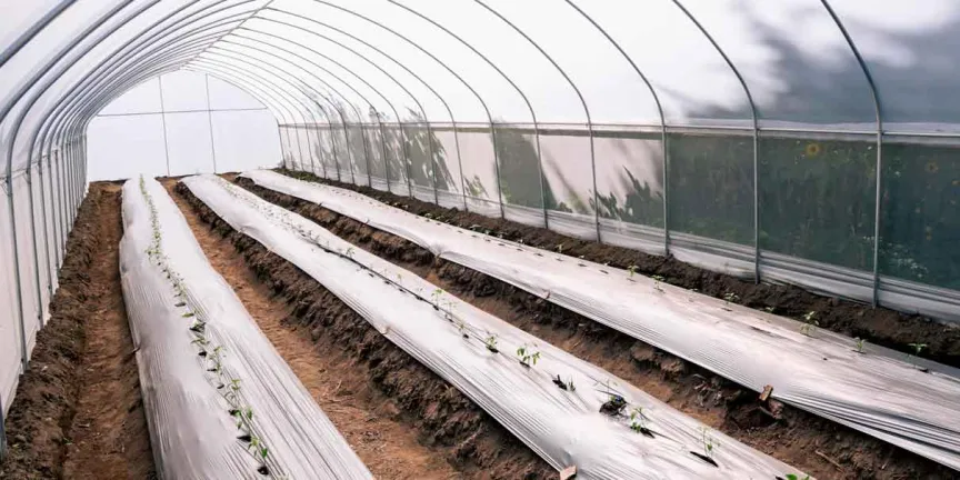 Lupita Cuautle entrega invernaderos y apoyos al campo en San Andrés Cholula