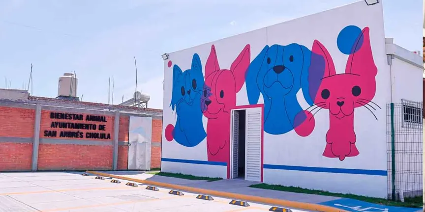 San Andrés Cholula  inaugura Centro de Bienestar Animal