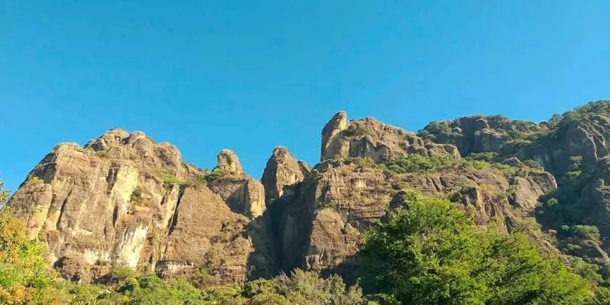 ¿Conoces Los Venaditos? El santuario natural más auténtico de Morelos