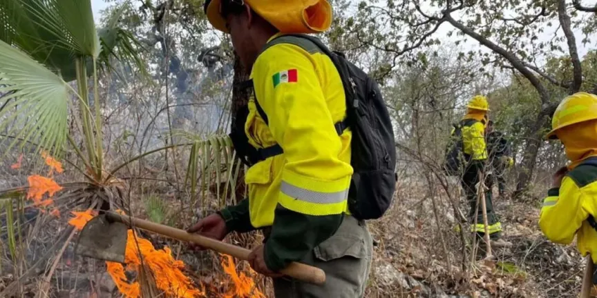 4 brigadistas y apoyo aéreo combaten incendio forestal en la Mixteca poblana