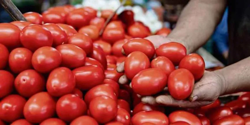 Canasta básica en México sube 8.3% en abril y duplica la inflación por alza del jitomate y el chile