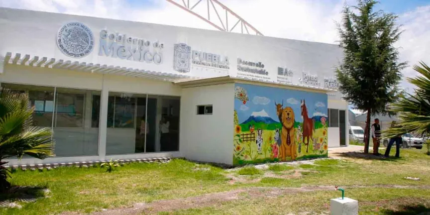 Centro de Bienestar Animal, ejemplo nacional de protección y cuidado a seres sintientes