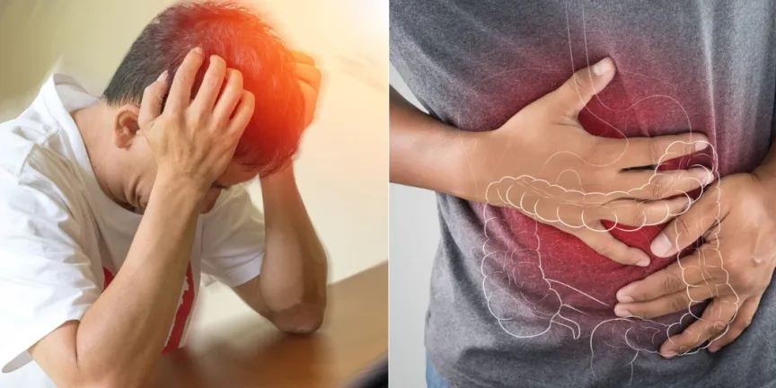 La salud intestinal influye más en tu cerebro de lo que imaginas