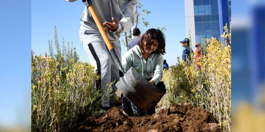 Realizan alumnos BUAP arborización en CU2